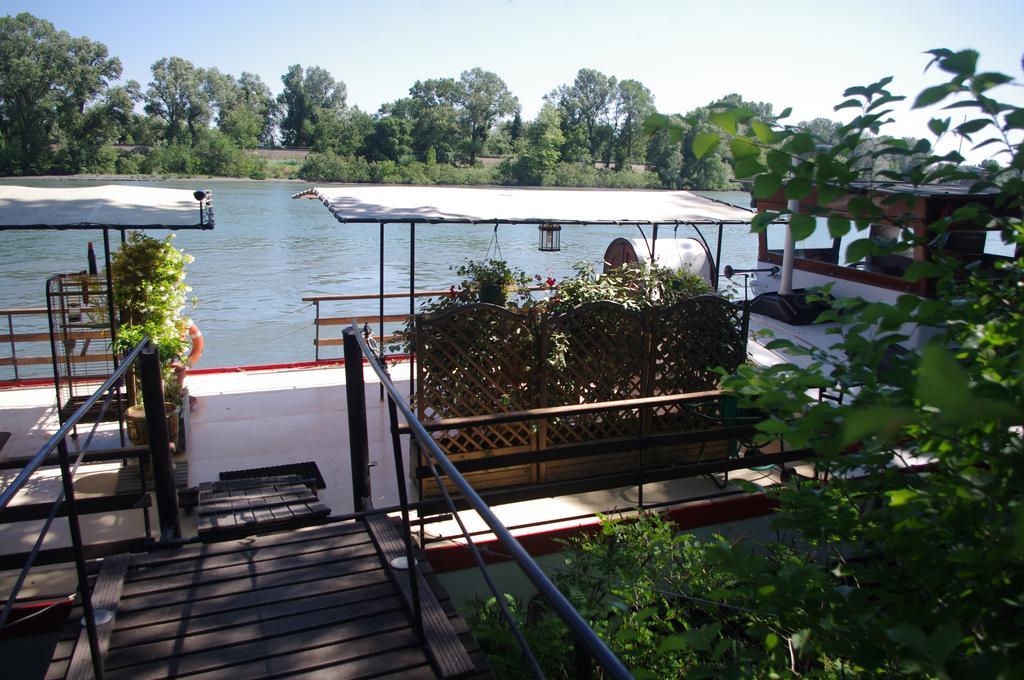 Peniche Le Hasard Bed & Breakfast Villeneuve-lès-Avignon Eksteriør bilde